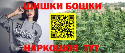крисы Пыть-Ях
